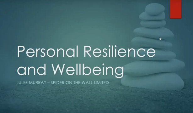 Masterclass: Personal RESILIENCE and WELLBEING - Strategies For Building Yours 